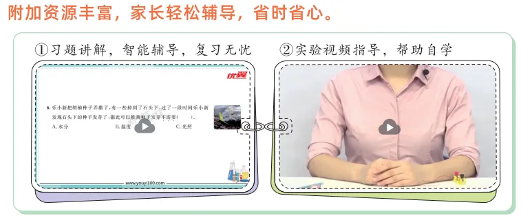 image3.png