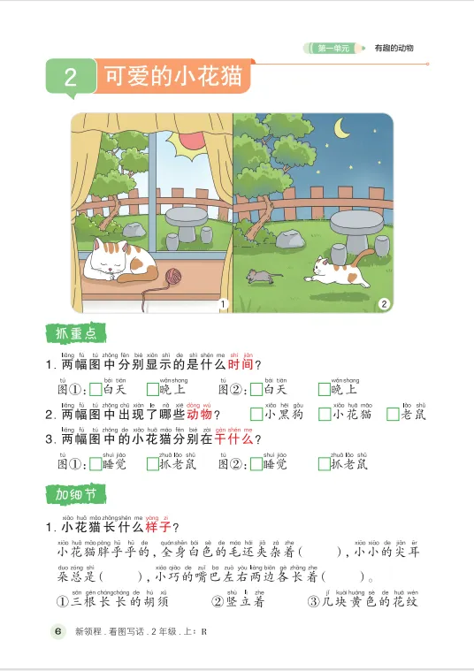 image9.png
