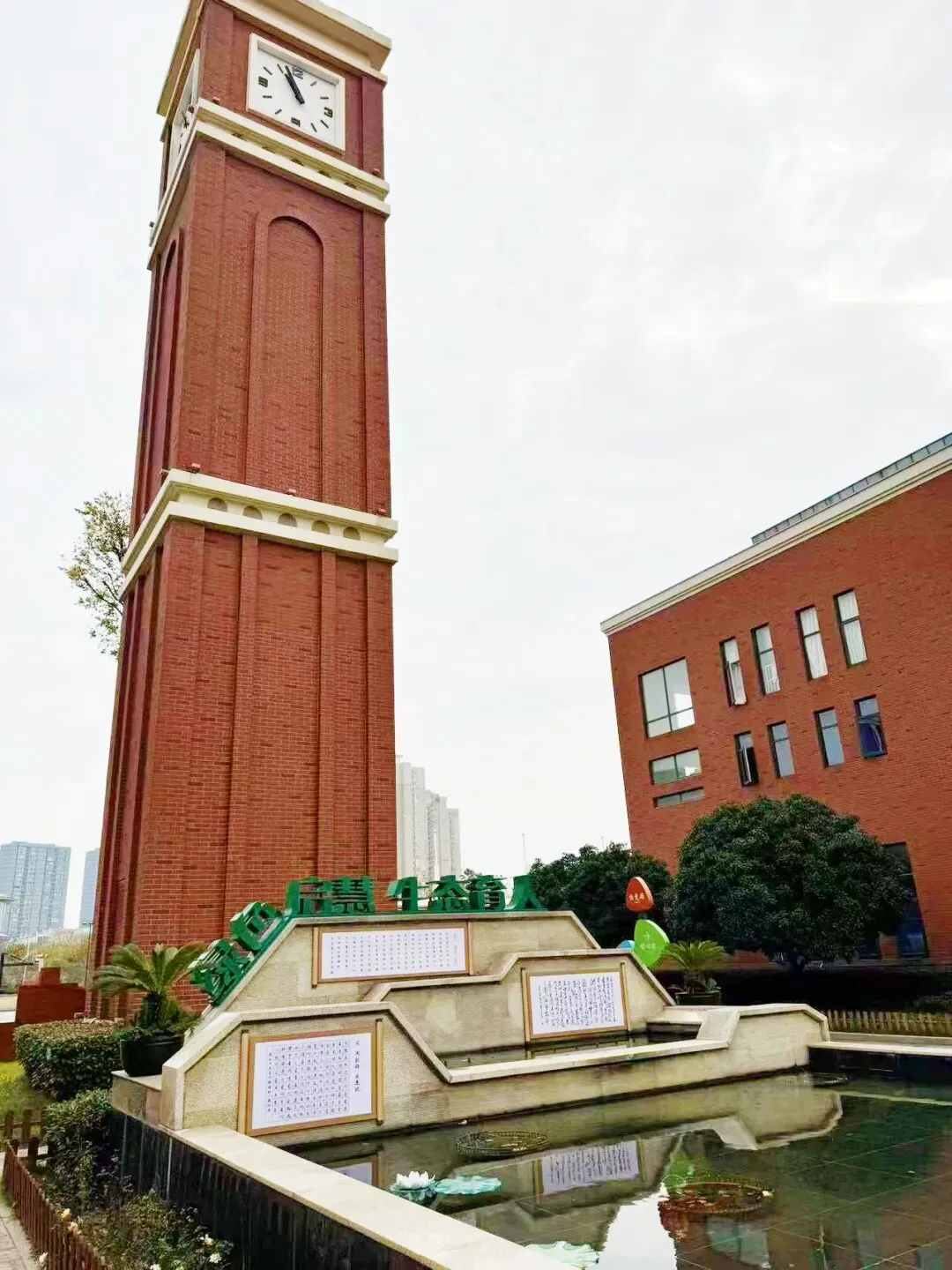 image20.jpeg