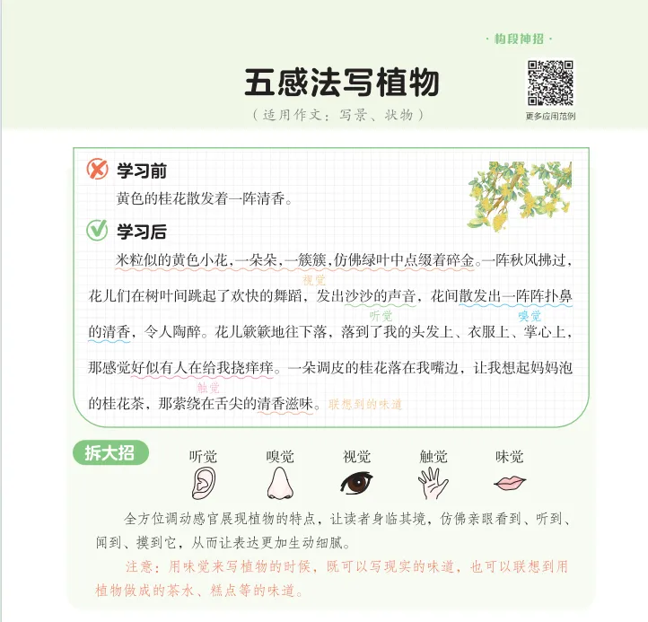 image10.png